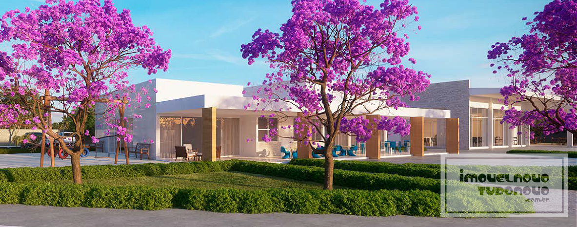 suncoast_3
