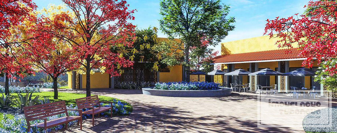 villaredo_barra_6