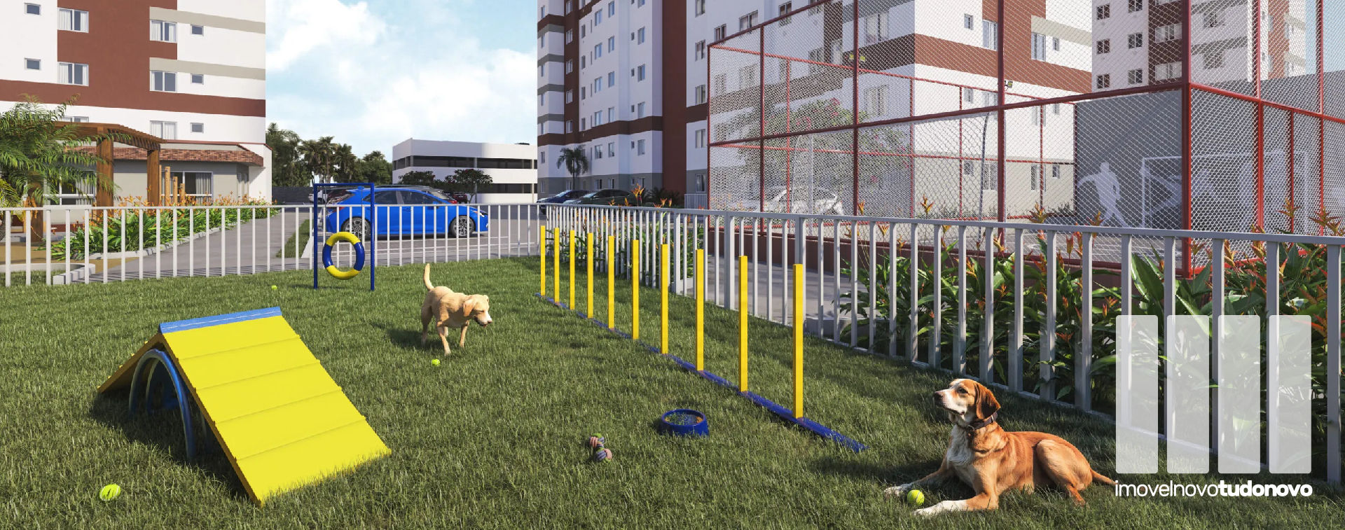 Pet park
