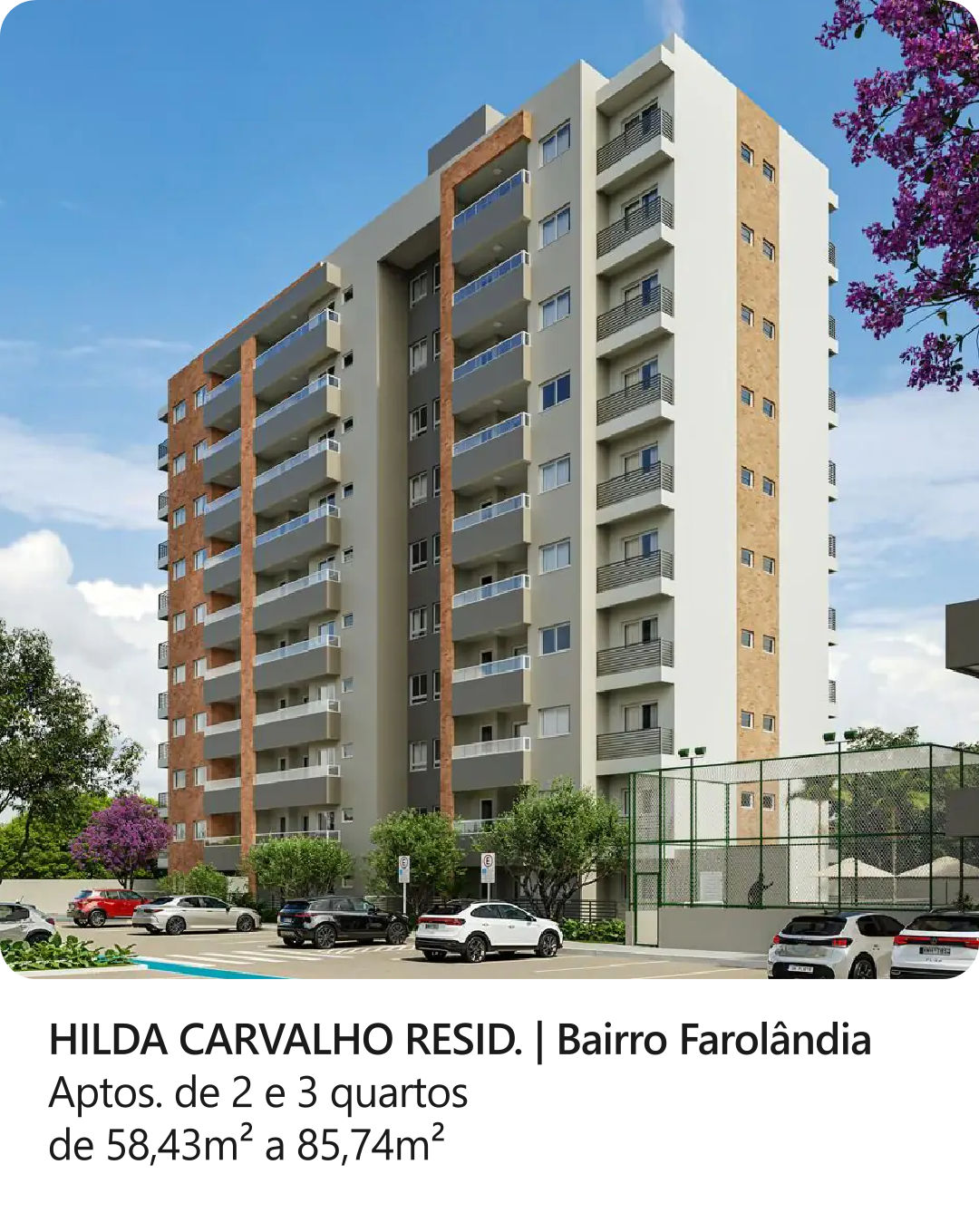 #hildacarvalho
