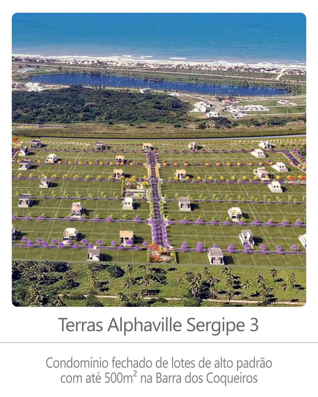 terras alphaville